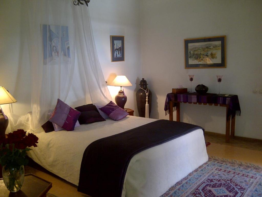 RIAD IRENE