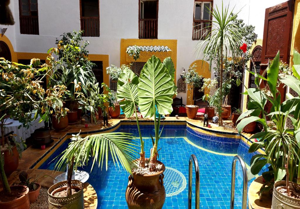 Palais Al Firdaous