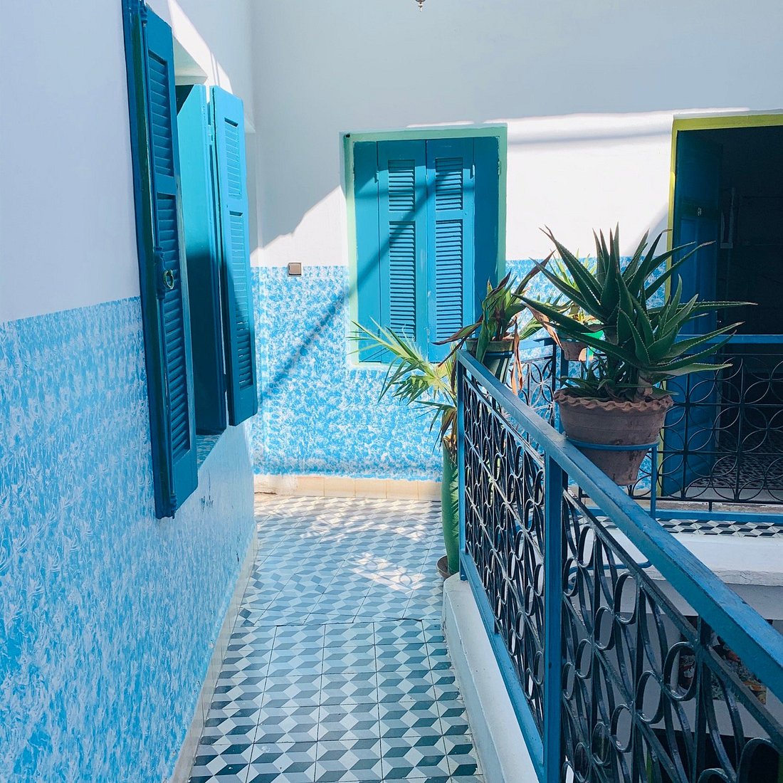 Kaktus Hostel