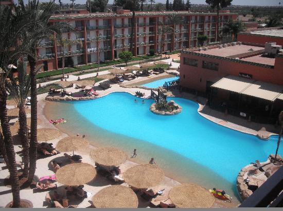 Albatros Club