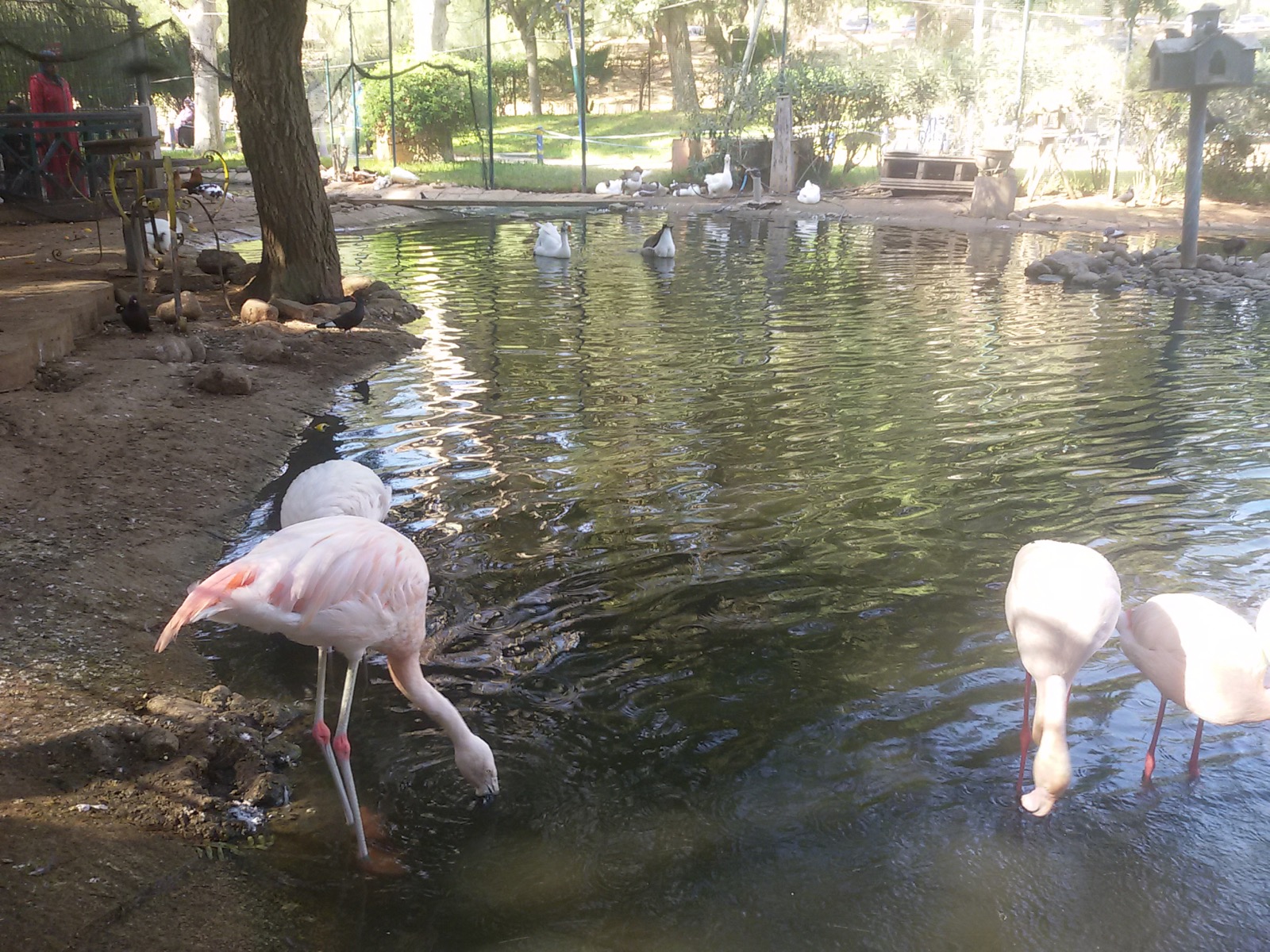 Vallee des Oiseaux