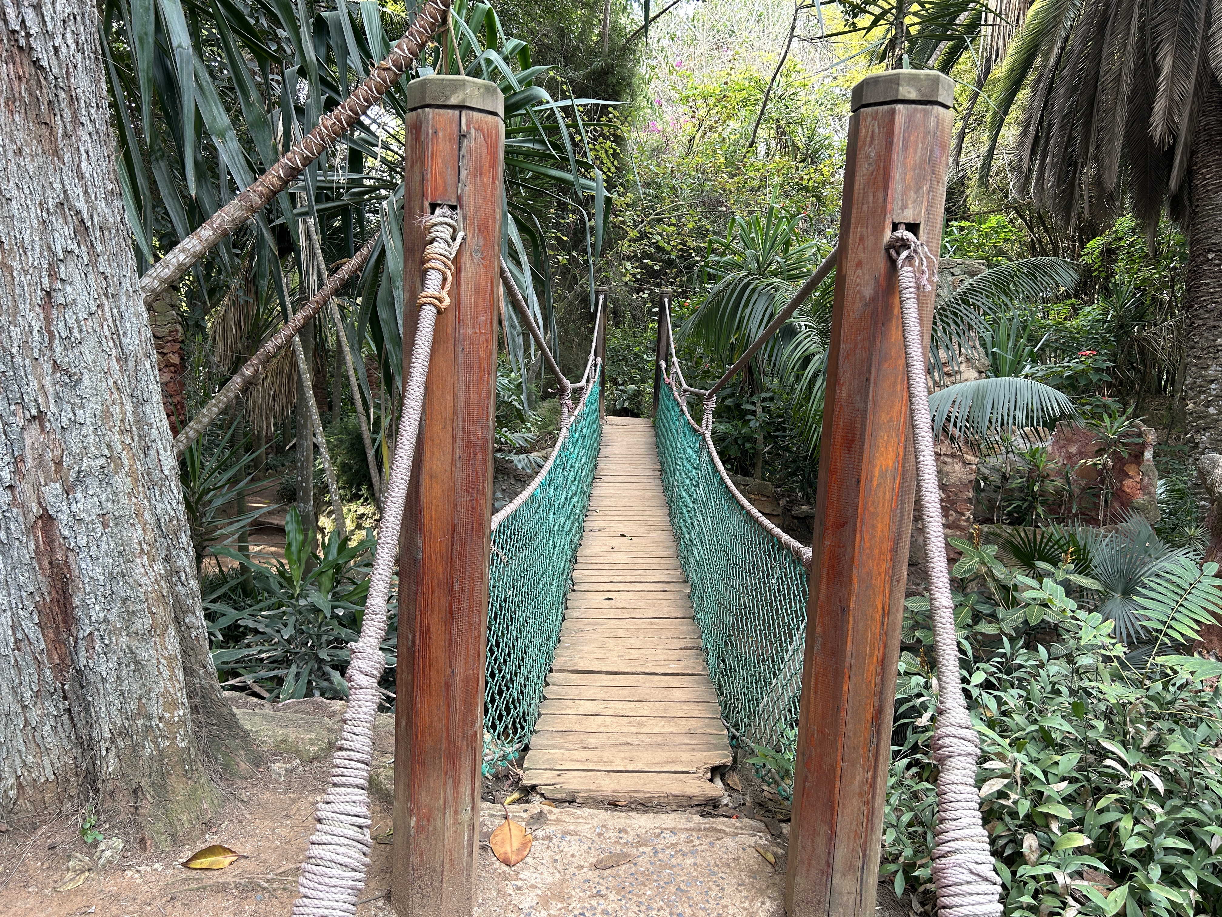 Exotic Gardens of Bouknadel