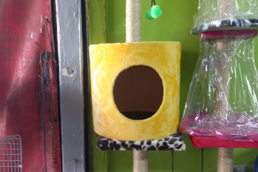 Hotel Adil Moussafir Morroco