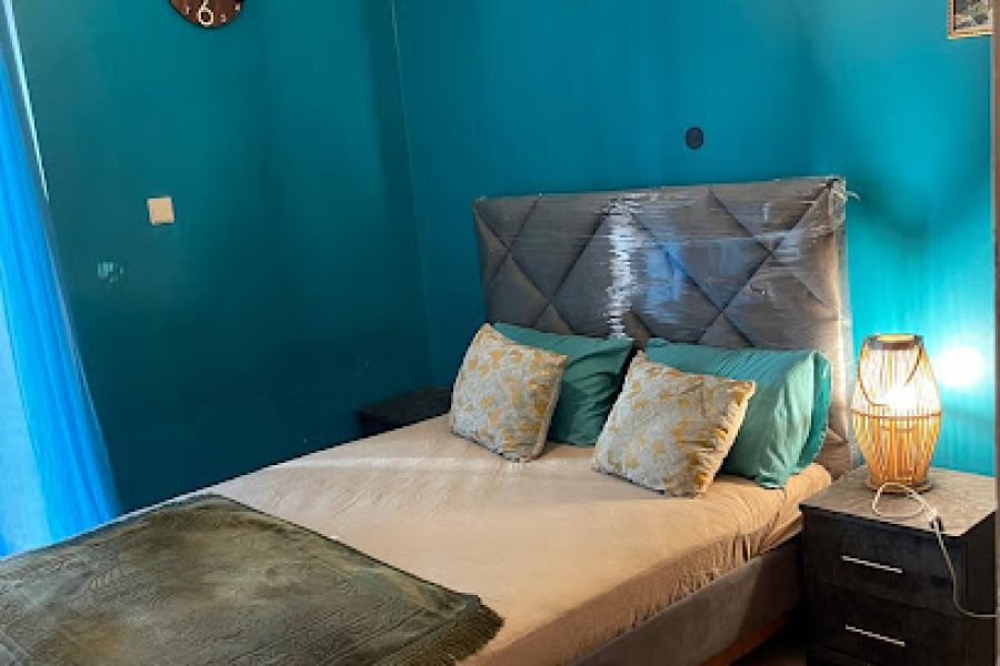 Bel Appart Emile Zola